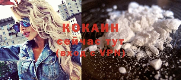 дживик Аркадак