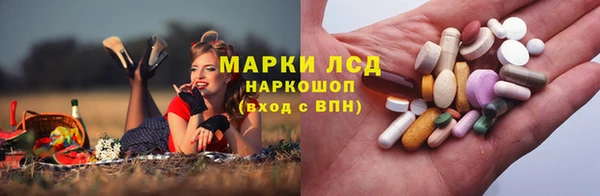 дживик Аркадак