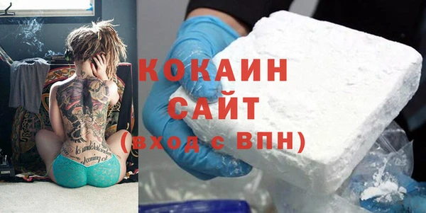 дживик Арсеньев