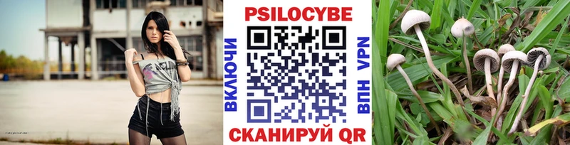 Псилоцибиновые грибы прущие грибы  Купить закладки  Самара 